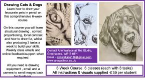 Online Course Drawing Cats & Dogs